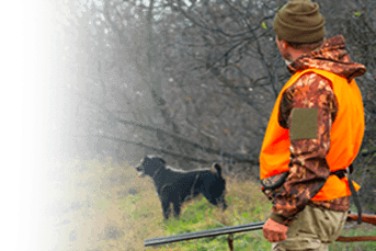 RC Chasse Banner mobile