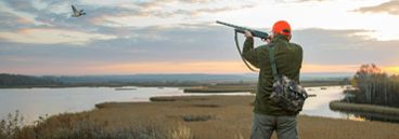 RC Chasse image