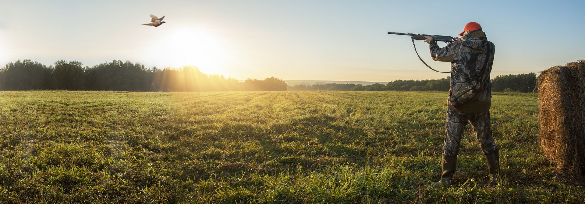 Assurance chasse RMA
